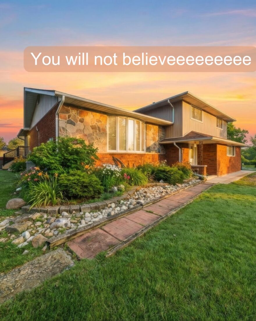 Aside from a beauty home, and the income potential of taking over a 16 room boarding kennel and grooming business… having this much property…